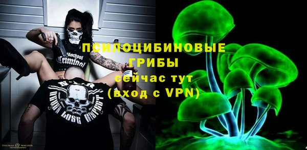 spice Беломорск