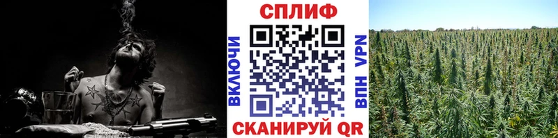 Бошки Шишки AK-47 где можно купить наркотик Великий Устюг